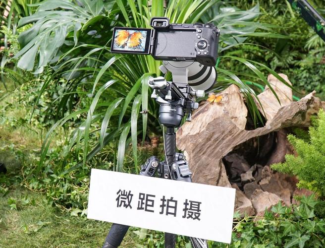 P\u0026I2024:索尼展台微单、镜头齐亮相 看重体验与场景化 互联通信 P\u0026I2024:索尼展台微单、镜头齐亮相 看重体验与场景化 P\u0026I2024:索尼展台微单、镜头齐亮相 看重体验与场景化 互联通信