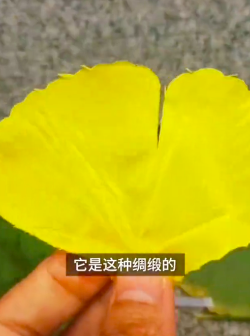 郑州一商场回应“撸掉落银杏叶绑上假树叶”:自己种的有处置权 人工智能 郑州一商场回应“撸掉落银杏叶绑上假树叶”:自己种的有处置权 郑州一商场回应“撸掉落银杏叶绑上假树叶”:自己种的有处置权 人工智能