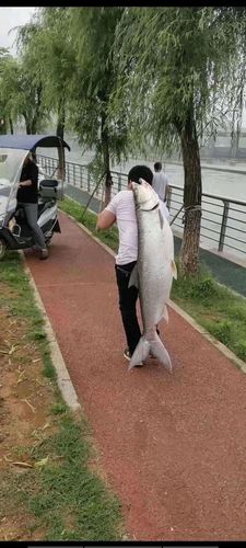 独自游钓桐梓河景好鱼大好人更好! 人工智能 独自游钓桐梓河景好鱼大好人更好! 独自游钓桐梓河景好鱼大好人更好! 人工智能