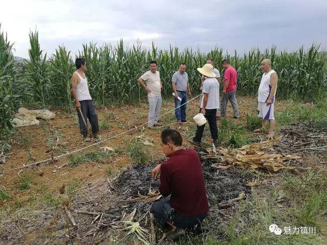 勉县首家秸秆收受接收运用扶贫车间即将建成 人工智能 勉县首家秸秆收受接收运用扶贫车间即将建成 勉县首家秸秆收受接收运用扶贫车间即将建成 人工智能