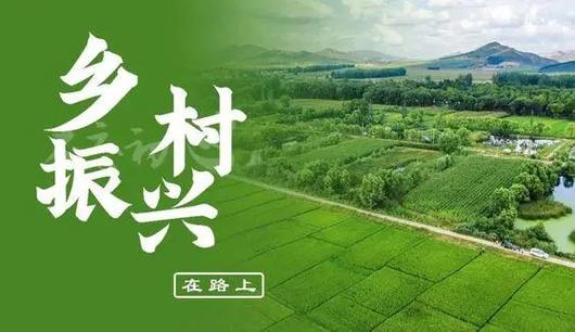 村落行·看振兴|河北蠡县:“电商+特色家当”新业态赋能村落振兴 互联通信 村落行·看振兴|河北蠡县:“电商+特色家当”新业态赋能村落振兴 村落行·看振兴|河北蠡县:“电商+特色家当”新业态赋能村落振兴 互联通信