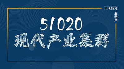 “51020”:雄起湖北制造“主力集群” 智能家居 “51020”:雄起湖北制造“主力集群” “51020”:雄起湖北制造“主力集群” 智能家居