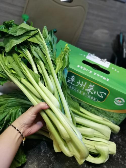 连州菜心有了“防伪码” 人工智能 连州菜心有了“防伪码” 连州菜心有了“防伪码” 人工智能