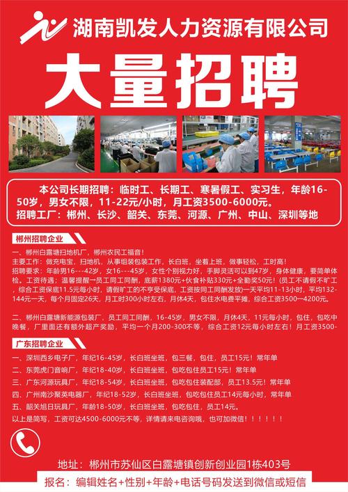 招工！江南区多家重点企业招聘143人 招工！江南区多家重点企业招聘143人 人工智能