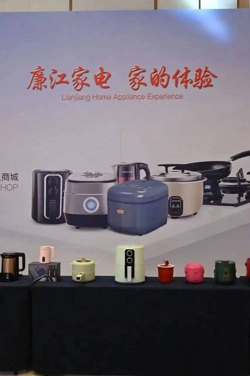 廉江小家电的“启”与“期” 互联通信 廉江小家电的“启”与“期” 廉江小家电的“启”与“期” 互联通信