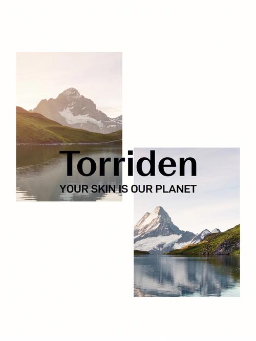 Torriden品牌故事(二) 智能家居 Torriden品牌故事(二) Torriden品牌故事(二) 智能家居