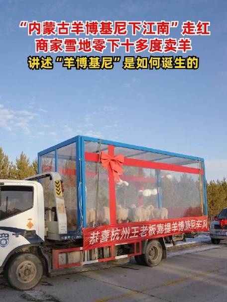 杭州一老板从内蒙古下单100只活羊给员工发福利 智能科技 杭州一老板从内蒙古下单100只活羊给员工发福利 杭州一老板从内蒙古下单100只活羊给员工发福利 智能科技