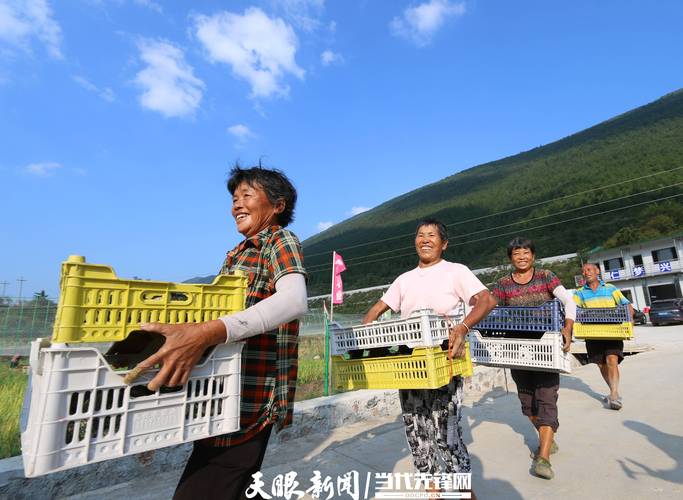 贵州印江县多措并举巩凝结果:脱贫之后再攻坚 智能家居 贵州印江县多措并举巩凝结果:脱贫之后再攻坚 贵州印江县多措并举巩凝结果:脱贫之后再攻坚 智能家居
