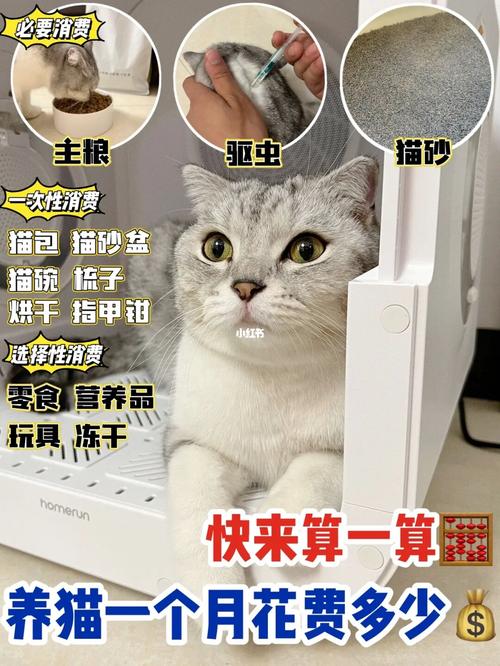 想养猫却摸不准开销?理解猫咪必备用品从经济实力看养猫能力 智能家居 想养猫却摸不准开销?理解猫咪必备用品从经济实力看养猫能力 想养猫却摸不准开销?理解猫咪必备用品从经济实力看养猫能力 智能家居
