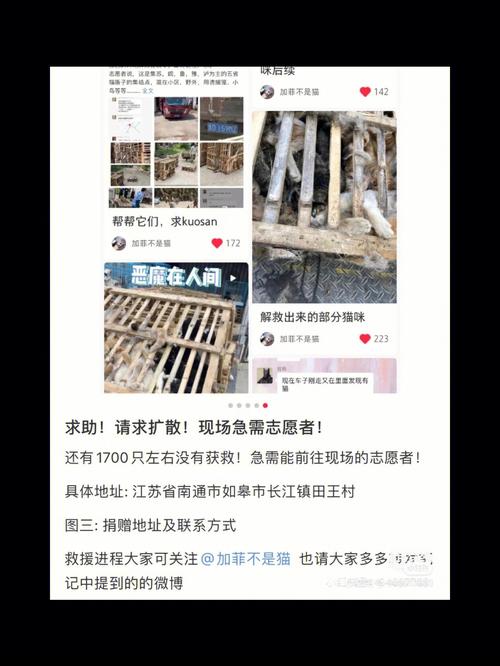 转发扩散!家有 “五朵金花”和这些老物件的职工看过来! 智能科技 转发扩散!家有 “五朵金花”和这些老物件的职工看过来! 转发扩散!家有 “五朵金花”和这些老物件的职工看过来! 智能科技
