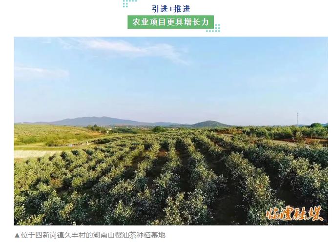强主体 塑品牌 推项目临澧深耕农产品加工家当见成效 智能家居 强主体 塑品牌 推项目临澧深耕农产品加工家当见成效 强主体 塑品牌 推项目临澧深耕农产品加工家当见成效 智能家居