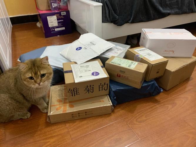 双十一买买买“快递垃圾”怎么办?淄博280台智能收受接收机帮大年夜忙 人工智能 双十一买买买“快递垃圾”怎么办?淄博280台智能收受接收机帮大年夜忙 双十一买买买“快递垃圾”怎么办?淄博280台智能收受接收机帮大年夜忙 人工智能