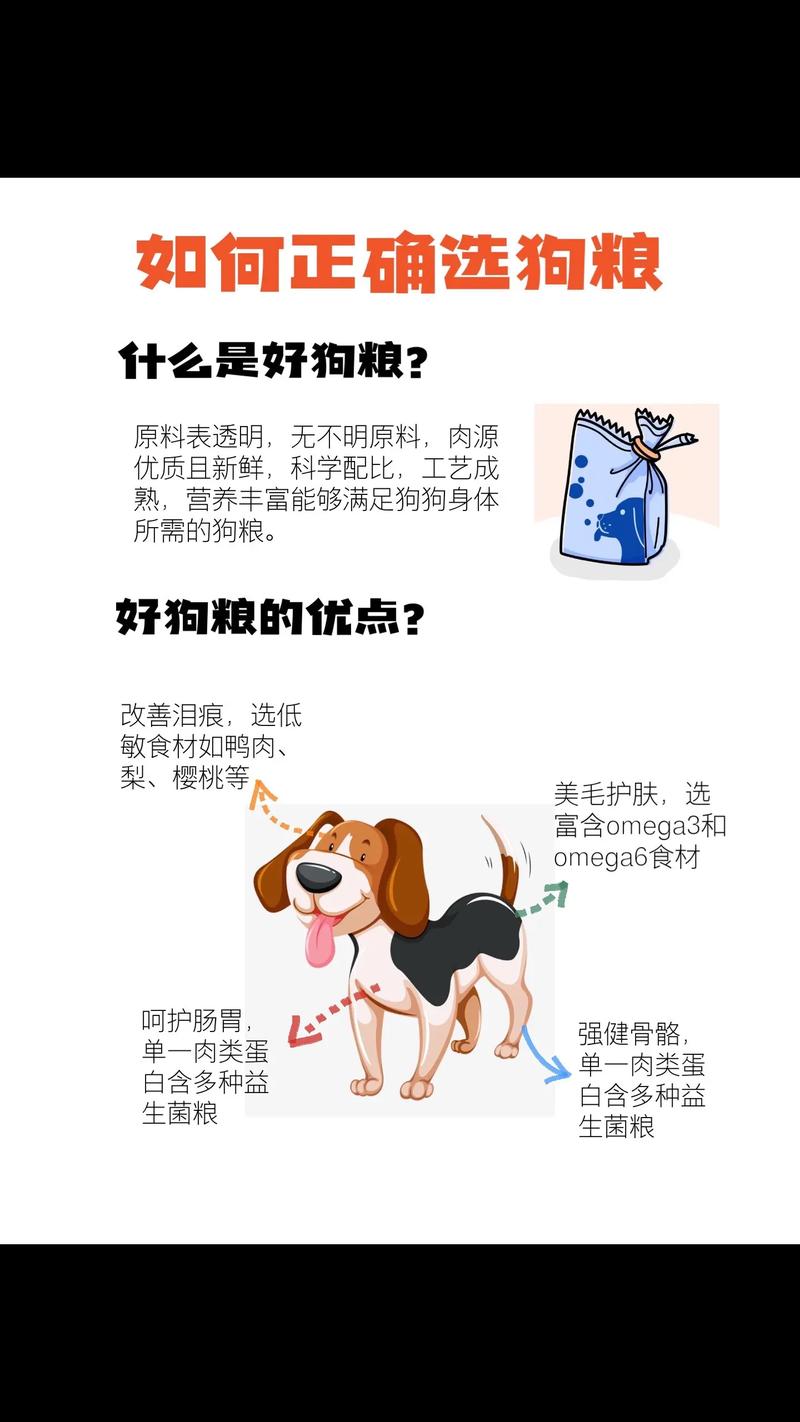 安派滋狗粮科学喂养的精确选择 智能家居 安派滋狗粮科学喂养的精确选择 安派滋狗粮科学喂养的精确选择 智能家居