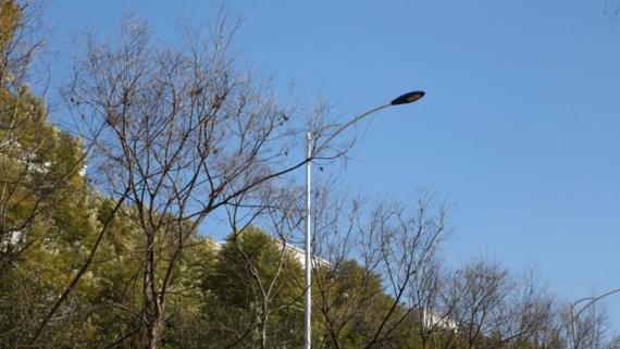 出行更安然!兴呈路新增一条人行道、70盏路灯 智能家居 出行更安然!兴呈路新增一条人行道、70盏路灯 出行更安然!兴呈路新增一条人行道、70盏路灯 智能家居