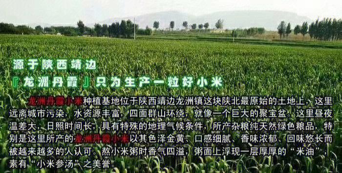 清涧县山元陕北特产专业合作社:“电商+创意” 家当兴旺致富快 智能家居 清涧县山元陕北特产专业合作社:“电商+创意” 家当兴旺致富快 清涧县山元陕北特产专业合作社:“电商+创意” 家当兴旺致富快 智能家居