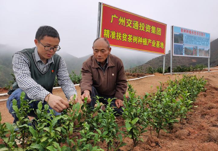 确山县王星河:脱贫攻坚真“劳模” 人工智能 确山县王星河:脱贫攻坚真“劳模” 确山县王星河:脱贫攻坚真“劳模” 人工智能
