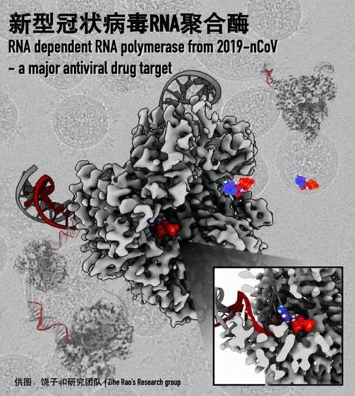 冠状病毒可能削弱电子行业 互联通信 冠状病毒可能削弱电子行业 冠状病毒可能削弱电子行业 互联通信