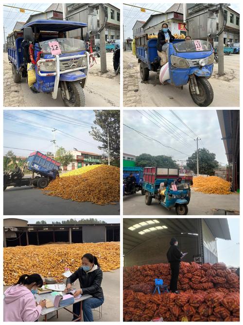 邯郸市临漳县供销社直接出资的21家企业 互联通信 邯郸市临漳县供销社直接出资的21家企业 邯郸市临漳县供销社直接出资的21家企业 互联通信