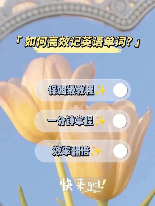 一分钟记单词：catalog 一分钟记单词：catalog 人工智能
