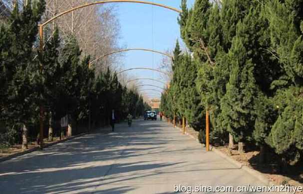 潍坊有座金泉寺·60路公交车上拍街景 人工智能 潍坊有座金泉寺·60路公交车上拍街景 潍坊有座金泉寺·60路公交车上拍街景 人工智能