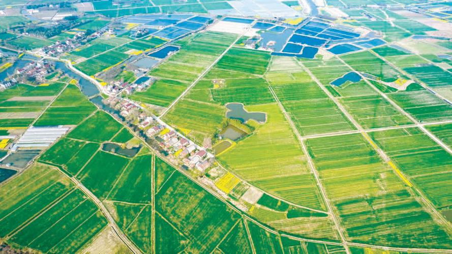 常州金坛:抢滩构造金坛“掘金”动力电池收受接收领域 智能科技 常州金坛:抢滩构造金坛“掘金”动力电池收受接收领域 常州金坛:抢滩构造金坛“掘金”动力电池收受接收领域 智能科技