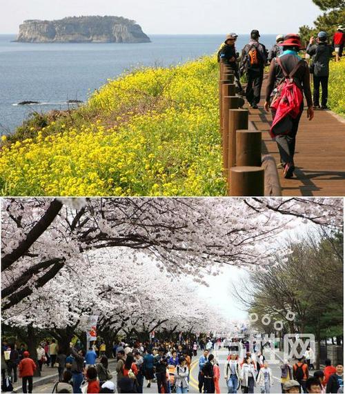 韩国双船7日游 互联通信 韩国双船7日游 韩国双船7日游 互联通信