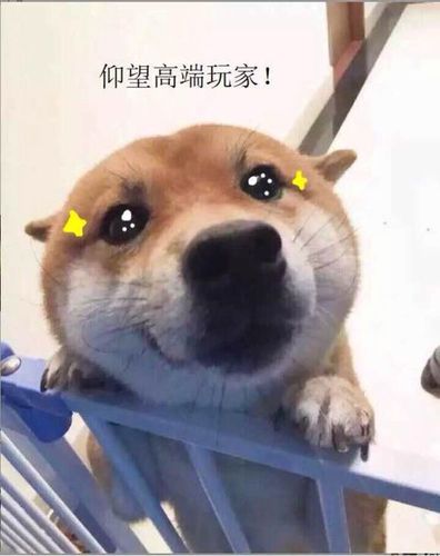 仰望“高端玩家” 二线长视频平台寻求逆袭 智能家居 仰望“高端玩家” 二线长视频平台寻求逆袭 仰望“高端玩家” 二线长视频平台寻求逆袭 智能家居