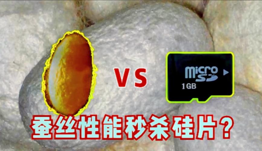 首个蚕丝蛋白存储器出身 可植入生物体永远保存 互联通信 首个蚕丝蛋白存储器出身 可植入生物体永远保存 首个蚕丝蛋白存储器出身 可植入生物体永远保存 互联通信