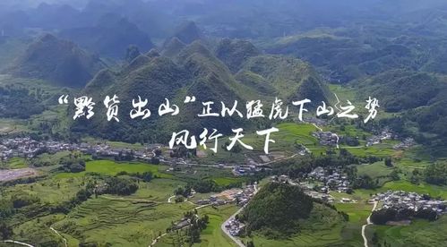 清镇：黔货出深山 远销“北上广” 清镇：黔货出深山 远销“北上广” 人工智能