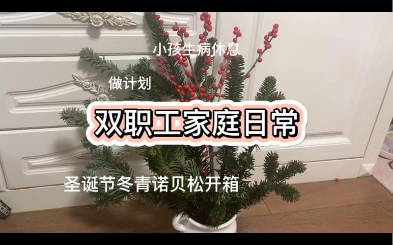 双职工家庭日常:冬青开箱日常必备日程软件! 智能科技 双职工家庭日常:冬青开箱日常必备日程软件! 双职工家庭日常:冬青开箱日常必备日程软件! 智能科技