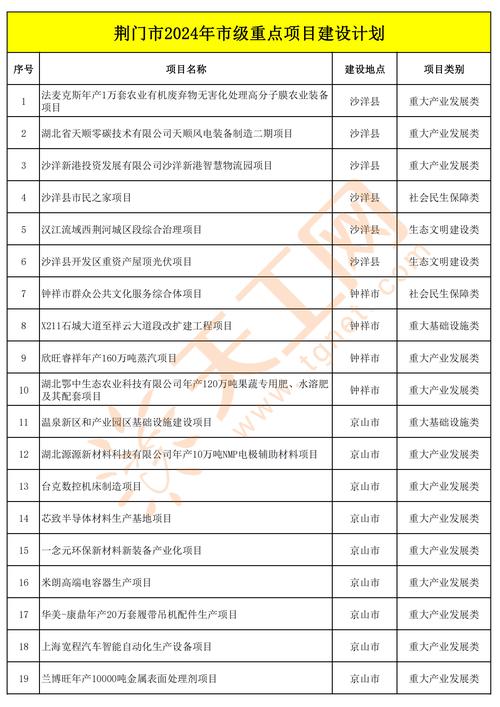 2024年荆门市市级重点项目名单 2024年荆门市市级重点项目名单 智能科技
