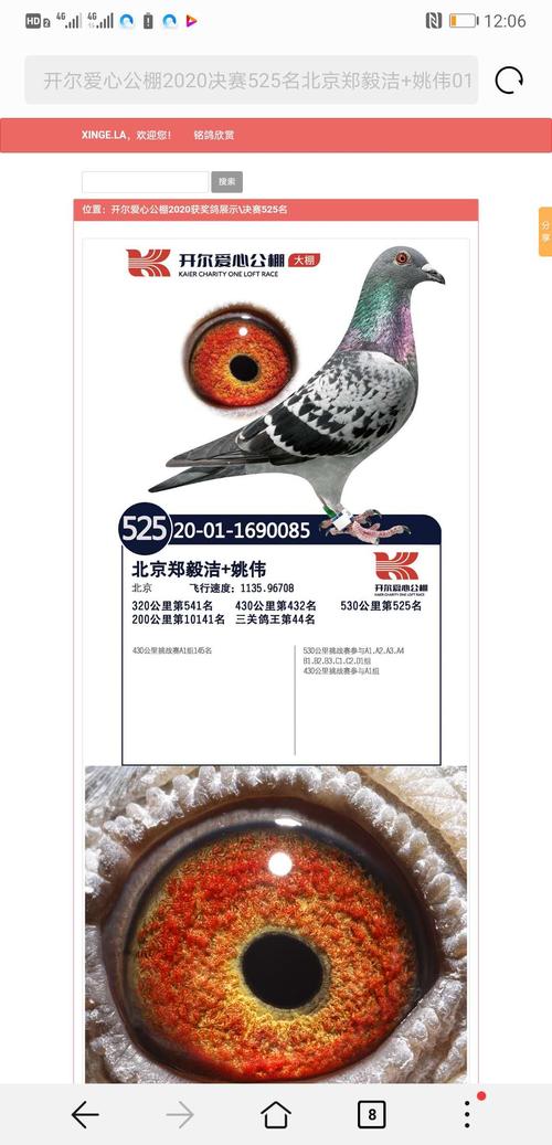 开尔新举措：二次加戴GPS 开尔新举措：二次加戴GPS 互联通信