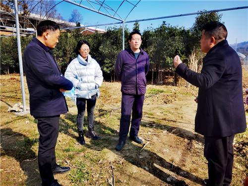 宁强县发改局：强化“三个聚焦”搞妥重点平易近生实事 宁强县发改局：强化“三个聚焦”搞妥重点平易近生实事 智能科技