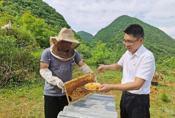 关于收购彩翼品牌和课程资产的通知书记 关于收购彩翼品牌和课程资产的通知书记 人工智能