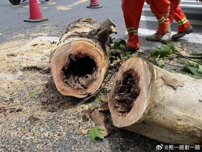 事发上海街头！一“闪送”小哥被砸身亡！紧急提醒：今天外出需特别留心→ 事发上海街头！一“闪送”小哥被砸身亡！紧急提醒：今天外出需特别留心→ 智能家居