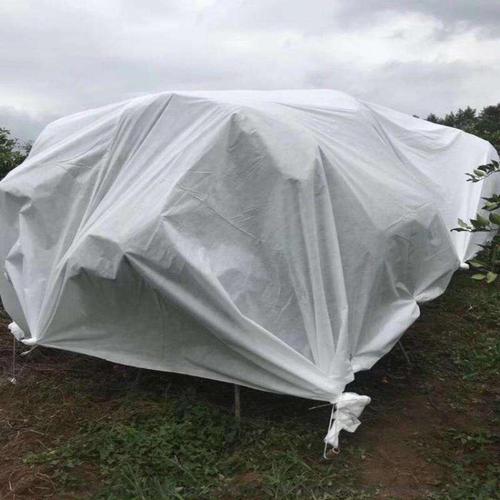 我国学者研发出可雨中发电的农用大年夜棚布 智能家居 我国学者研发出可雨中发电的农用大年夜棚布 我国学者研发出可雨中发电的农用大年夜棚布 智能家居