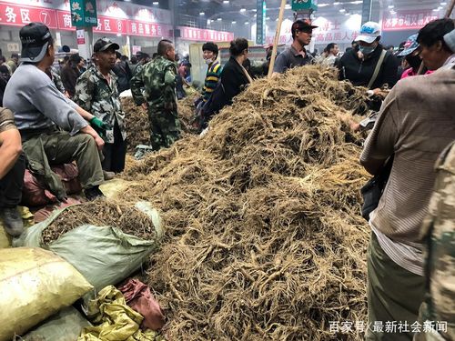 吉林收集零售额打破千亿元大年夜关 人参等四大年夜产品畅销收集 智能科技 吉林收集零售额打破千亿元大年夜关 人参等四大年夜产品畅销收集 吉林收集零售额打破千亿元大年夜关 人参等四大年夜产品畅销收集 智能科技