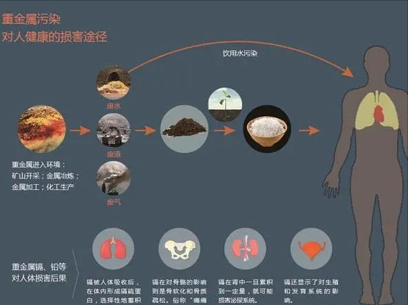 每年21万吨电子垃圾：养活4万人却让他们活不过25岁 每年21万吨电子垃圾：养活4万人却让他们活不过25岁 人工智能
