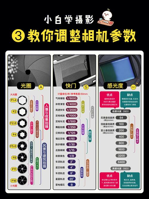 若何进修摄影数码摄影的根本常识 人工智能 若何进修摄影数码摄影的根本常识 若何进修摄影数码摄影的根本常识 人工智能