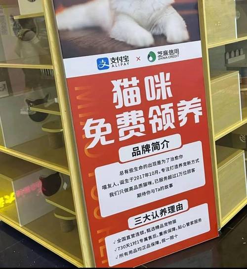 送一只猫赚8000元、最快2个月回本“免费领养”悄然走红 智能家居 送一只猫赚8000元、最快2个月回本“免费领养”悄然走红 送一只猫赚8000元、最快2个月回本“免费领养”悄然走红 智能家居