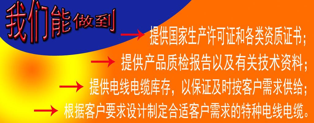 电线全项保检指什么 智能家居 电线全项保检指什么 电线全项保检指什么 智能家居