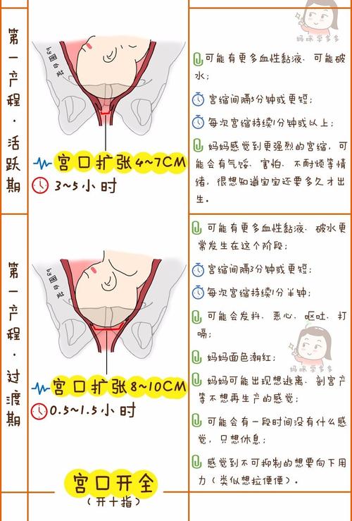日常生活中纸箱的分娩流程 人工智能 日常生活中纸箱的分娩流程 日常生活中纸箱的分娩流程 人工智能
