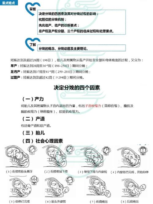 胶刷分娩线工艺流程简介 胶刷分娩线工艺流程简介 智能家居