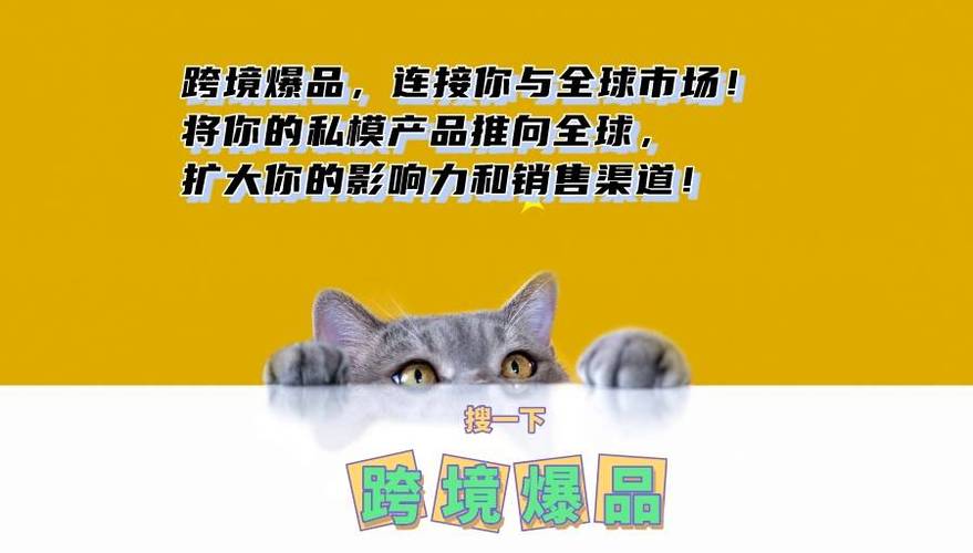 跨境爆品里面为什么要弄个私模板块?这是真实经历。 智能家居 跨境爆品里面为什么要弄个私模板块?这是真实经历。 跨境爆品里面为什么要弄个私模板块?这是真实经历。 智能家居