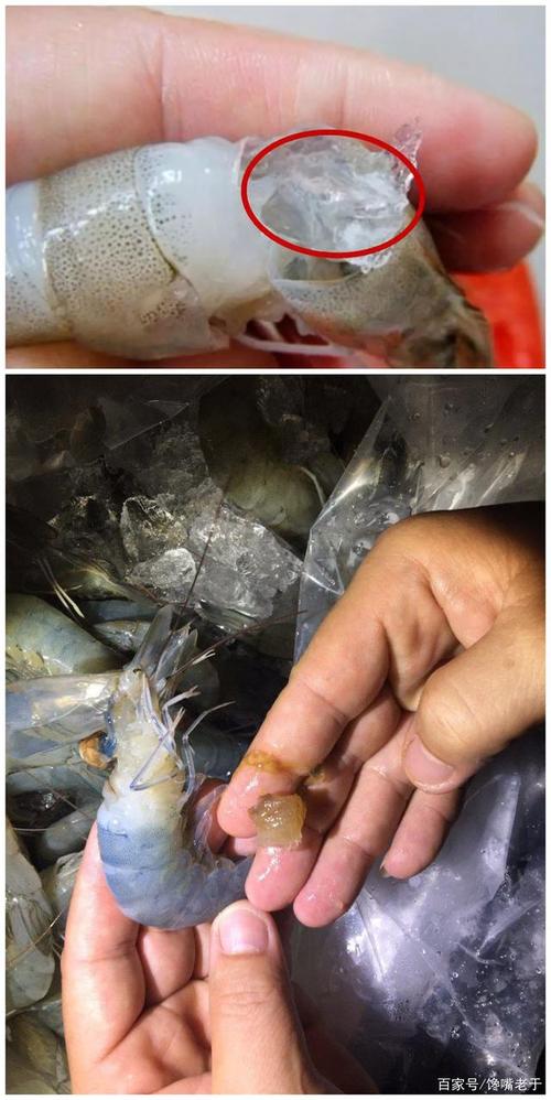 活虾灌胶水是真的吗 耐久服用有害身体 活虾灌胶水是真的吗 耐久服用有害身体 智能科技