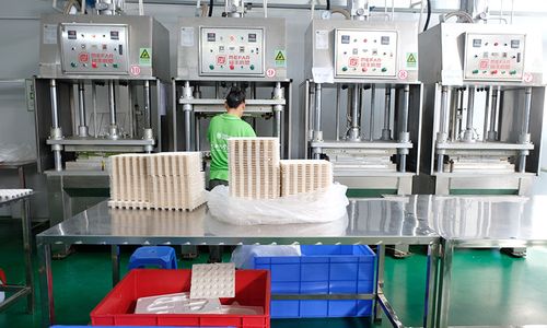 纸托工包制品厂 纸托工包制品厂 智能科技