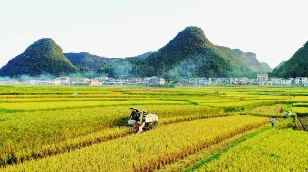 通许县走上农业成长农村繁荣农民增收的村落振兴之路 调结构 转办法 补短板 提质量 通许县走上农业成长农村繁荣农民增收的村落振兴之路 调结构 转办法 补短板 提质量 人工智能