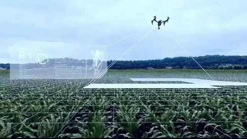 农业+人工智能(AI)除了养猪还能这样“颠覆”农业 农业+人工智能(AI)除了养猪还能这样“颠覆”农业 智能科技