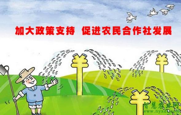 山东公示农民合作社监测名单 这328家单位上黑榜 智能科技 山东公示农民合作社监测名单 这328家单位上黑榜 山东公示农民合作社监测名单 这328家单位上黑榜 智能科技