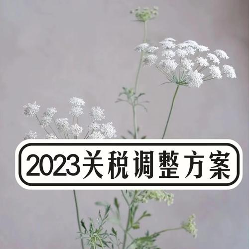 2023年1月1日起中国调解部分商品进出口关税多类家电及零部件在列 2023年1月1日起中国调解部分商品进出口关税多类家电及零部件在列 互联通信